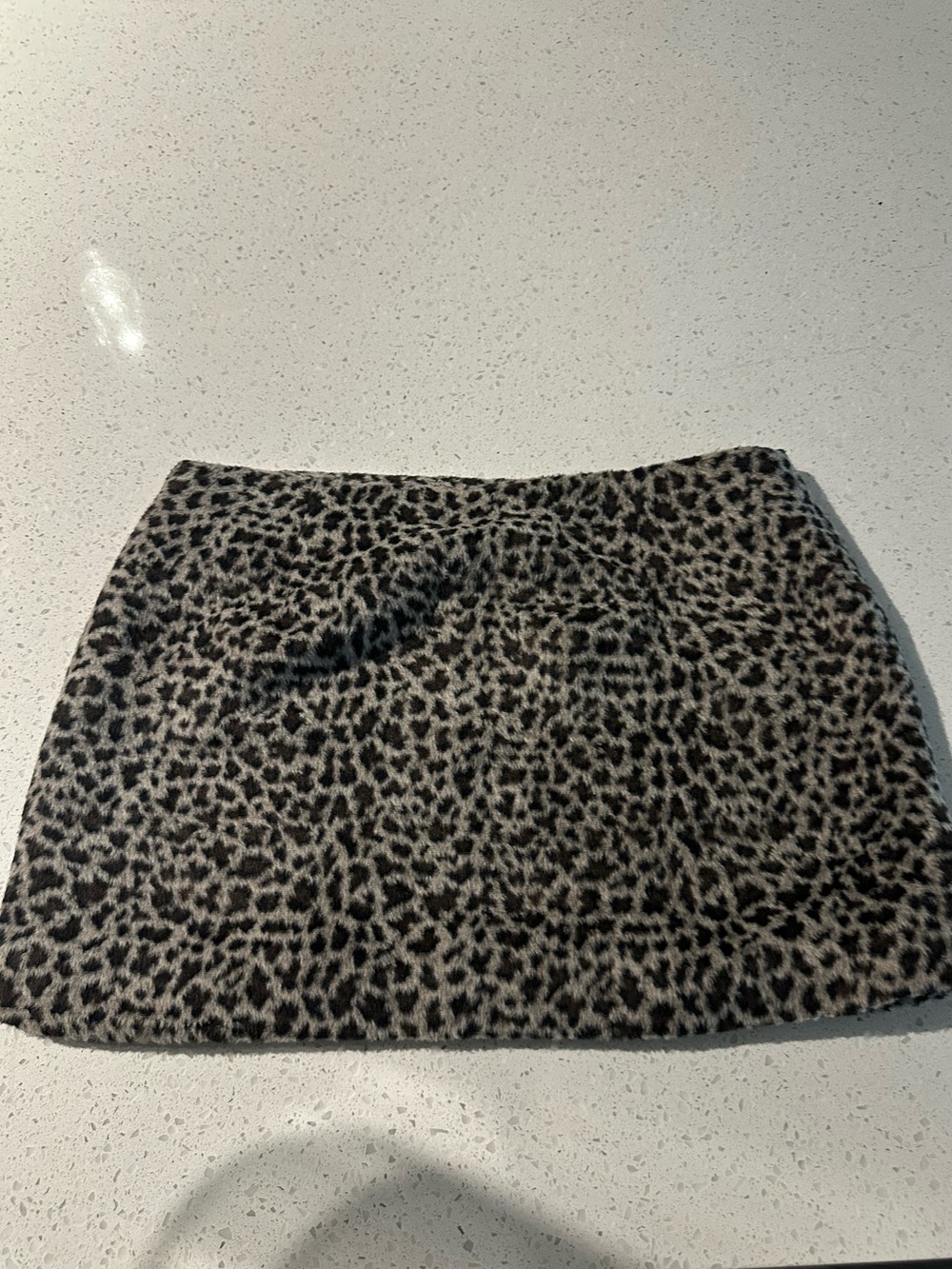 NWT Zara Animal Print Mini Leopard Skirt
